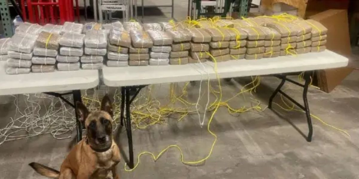 75-year-old Driver Caught Smuggling Nearly 70 Pounds of Cocaine at Del Rio Bridge