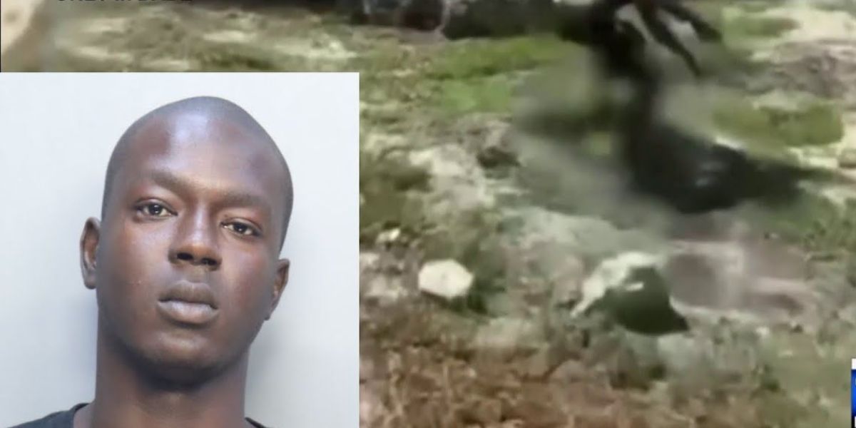 Animal Cruelty Charges Filed After North Miami Man Caught Abusing Kitten on Video