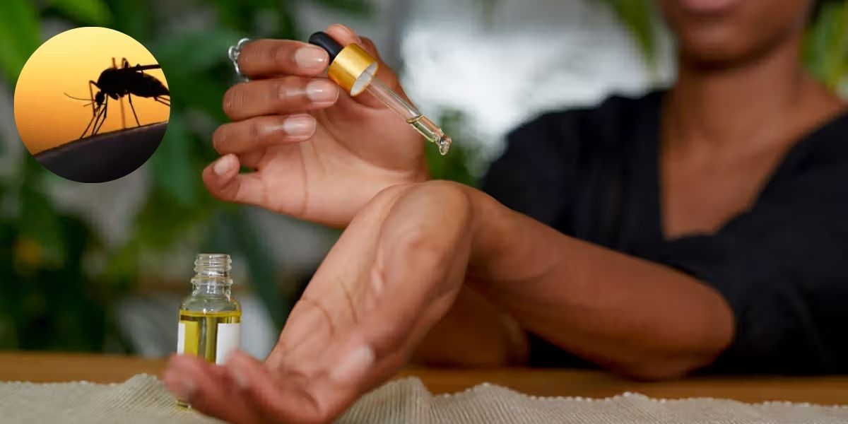 Experts Say These 3 Scents Drive Mosquitoes Crazy – and They’re All Natural