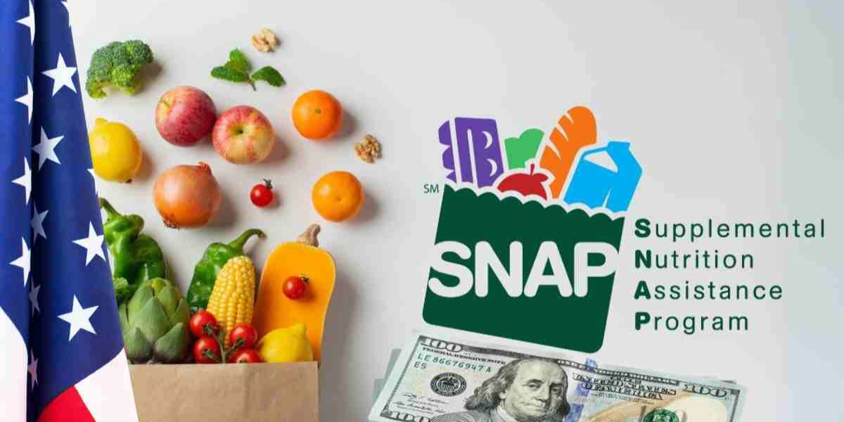Snap Alert for Texas Final May Payments Issued This Week — Act Now if You Haven’t Received Yours