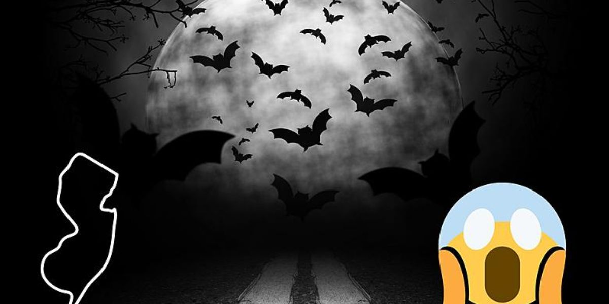 WARNING 8 Haunted Roads in New Jersey Locals Avoid After Dark